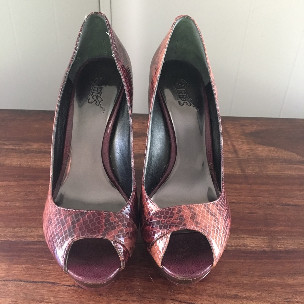Carlos Leather wedge sandals